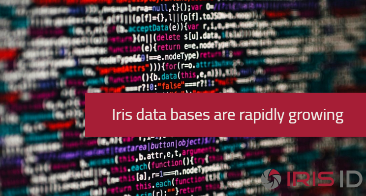 Data base, computer language